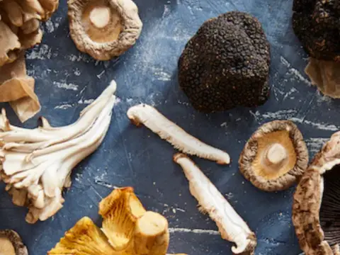 Adaptogens
